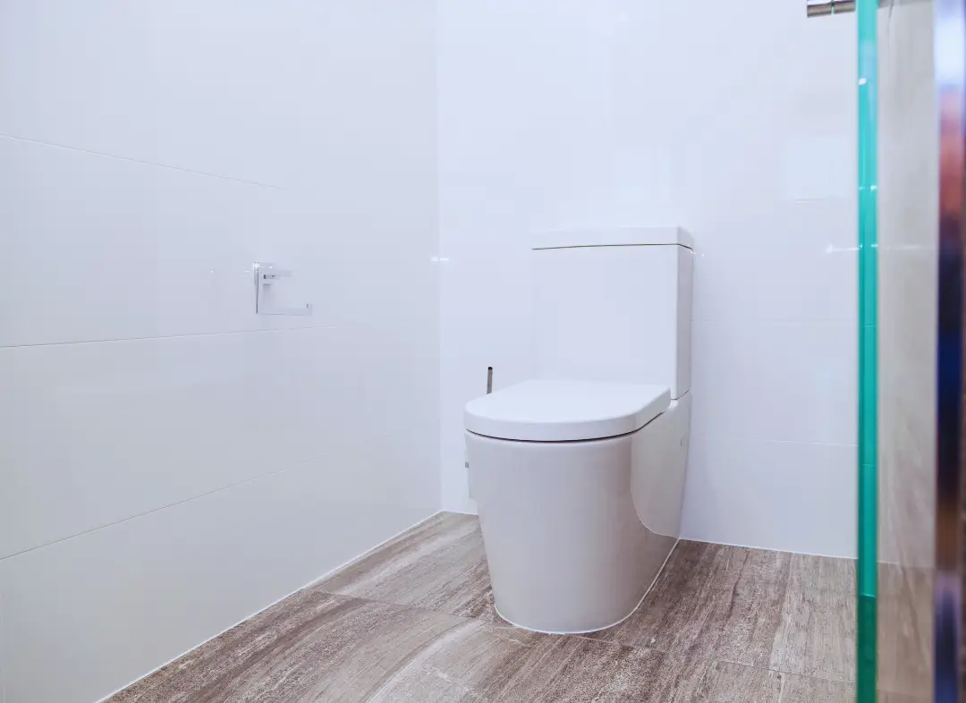 Remplacement de wc Sucé-sur-Erdre