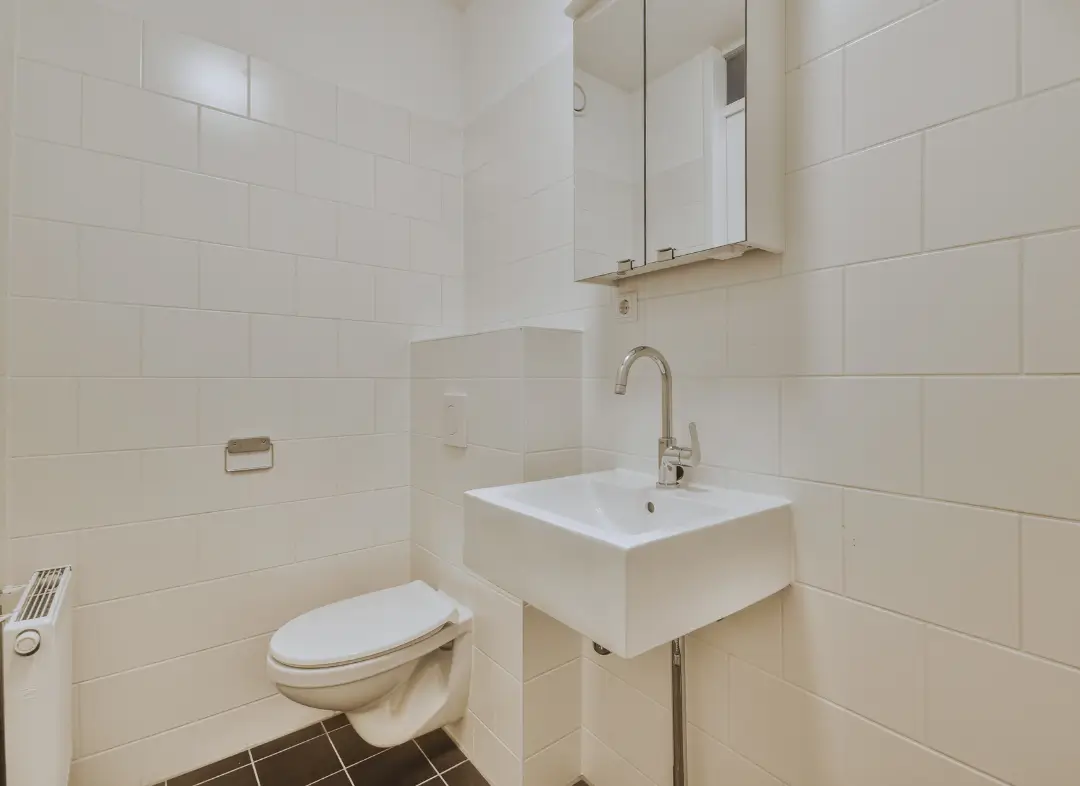 Pose WC Suspendu Sucé-sur-Erdre